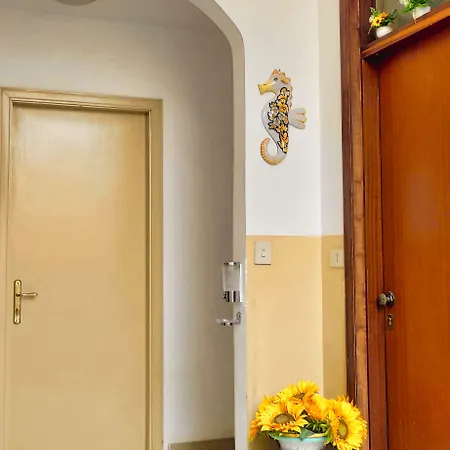 Bed & Breakfast Hippocampus